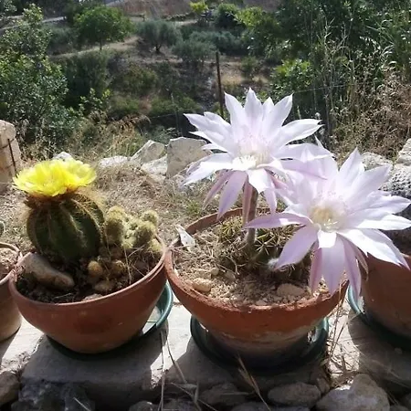 La Casa Dei Sogni